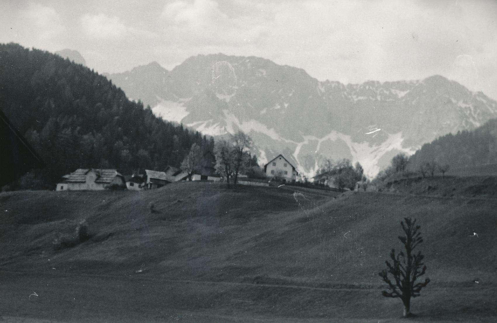 eika image